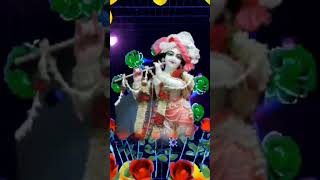 Jay Radhe Radhe Krishna Krishna Govinda Govinda bolo re 🙏🙏 [upl. by Ahsirk]