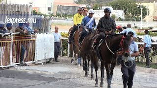 Maiden Cup 2018 au plus près des onze coursiers [upl. by Eniamej621]