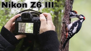 Er Nikon Z6 III bra til fuglefotografering [upl. by Corri455]