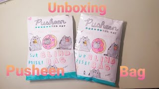 Satisfying ASMR unboxing Pusheen Paper Squishy Blind Bag [upl. by Anneiv]