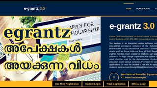 egrantz 30 Application Submission Video Tutorial [upl. by Chandal]