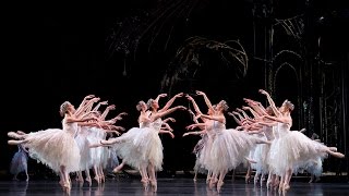 Swan Lake Corps de Ballet The Royal Ballet [upl. by Nepets]