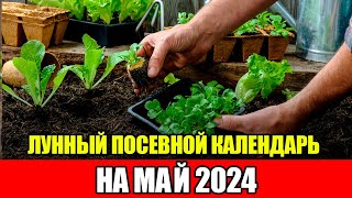 Лунный Посевной Календарь на МАЙ 2024 Воздержитесь от работ в ЭТИ ДНИ [upl. by Alyahsat]