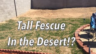 Planting a Lawn in the Desert [upl. by Maris277]