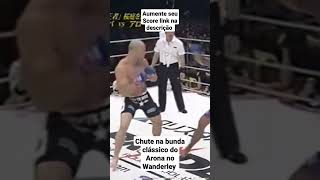 Ricardo Arona vs Wanderley silva [upl. by Katharine]