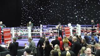 WKO CHAMPIONSHIPS RINGS 5 AND 6 PART 2 [upl. by Sueahccaz]