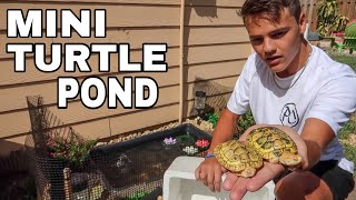 BUYING ALBINO TURTLES for My BACKYARD POND [upl. by Rocky]