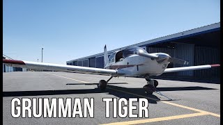 The Underdog Of American Aviation l Grumman Tiger [upl. by Noret]