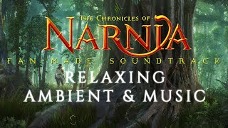 The Chronicles of Narnia  Relaxing Ambient amp Music  William Maytook [upl. by Tewfik]