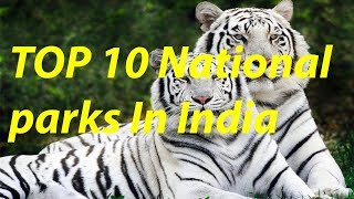 TOP 10 NATIONAL PARKS IN INDIA [upl. by Joaquin536]