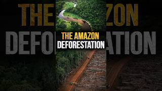 The Amazon Deforestation [upl. by Adyol]