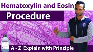 Hematoxylin and Eosin Staining Procedure  A  Z Explain with principles [upl. by Linden466]