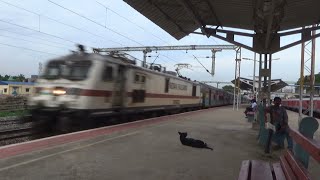 Relaxing Dog Watches 12027 Shatabdi Express Zoom Past at 130 KPH [upl. by Sparke]