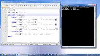 Octave Tutorial 14  Selective Execution Part 3 switch case Statements [upl. by Breena]