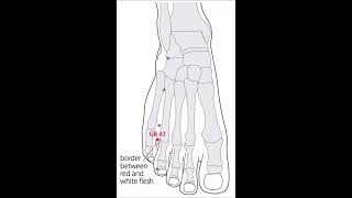 2 A Acupuncture 43 VB Xia Xi 侠溪 clarifier le feu de la VB [upl. by Ahsiyn783]