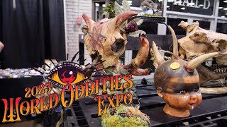 World of Oddities Expo 2023 [upl. by Vaientina768]