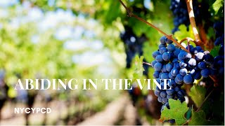 Abiding in the Vine [upl. by Eceinaj]