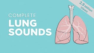 Complete Breath sounds NormalAbnormal Lung Sounds Types amp Conditions [upl. by Sutelc]