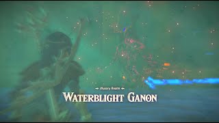 Illusory Realm Waterblight Ganon Boss Fight  EX Champion Miphas Song BotW [upl. by Shanie830]