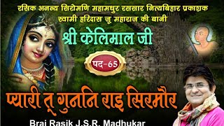 PAD65 PYARI TU GUNANI RAAI SIRMOR SWAMI HARIDAS JI KELIMAL JI SUNG BY BRAJ RASIK JSR MADHUKAR JI [upl. by Lekcim]