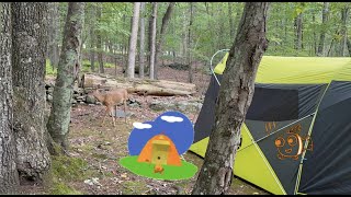 Tent review NEMO Wagontop Camping Tent  6 Person [upl. by Lasonde960]