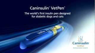 How to use Caninsulin VetPen [upl. by Danyluk]