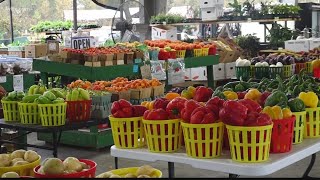 Shopping locally for your Thanksgiving dinner [upl. by Mcroberts]