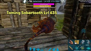 Taming 435 Lvl Sabertooth  How to tame Sabertooth Ark Mobile  Ark mobile revamp Ep6 [upl. by Asilehs141]