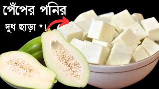 বিনা দুধে ১ টা পেঁপে দিয়ে এত সুন্দর পনির বানানো যায় না দেখলে বিশ্বাস হবে না Ponir recipe [upl. by Danete]