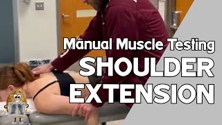 MMT Shoulder Extension Manual Muscle Test [upl. by Hardi]