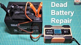 HOW TO REPAIR A DEAD BATTERY AND EXTEND ITS LIFE  LEAD ACID AGM GEL WET DESULFURIZTION PULSE CHARGE [upl. by Cointon]