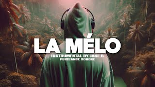 Free Melodic Drill Type Beat quotLa Méloquot Instru Rap drill Love Instrumental Melodieuse 2024 [upl. by Newmark]