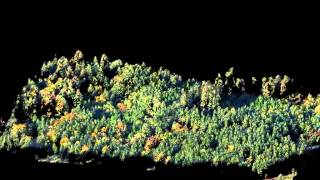 photogrammetric tree canopy point cloud video [upl. by Akenom]