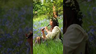 The Lord of the Rings  Concerning Hobbits on Tin Whistle in Middle Earth whistle shorts [upl. by Kreiker]