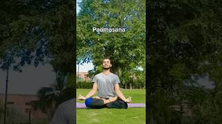 padmasana ✅🔥💯 shortvideo youtubeshorts shortfeed exercise yoga youtube yogapose yt [upl. by Templeton234]