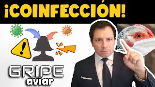 ¡ALERTA CHINA REPORTA COINFECCIÓN POR 2 CEPAS DE GRIPE AVIAR ¿RIESGO DE PANDEMIA [upl. by Novel475]