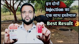 इन दोनों injection का एक साथ इस्तेमाल👍🏻गजब के परिणाम Best Result Nurokind Plus Tonophosphan Vet [upl. by Llerred]