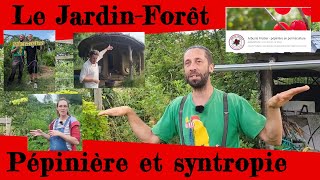 Jardin forêt Pépinière et agriculture syntropique arbustefruitier [upl. by Asia]