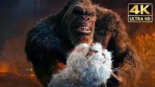 All King Kong Vs Titans Fights amp Death Scenes 2024 Godzilla x Kong Movie [upl. by Eselrahc188]