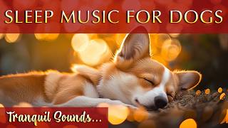 Dog Meditation Music 🐶 Sleep Harmony and Balance [upl. by Merfe]