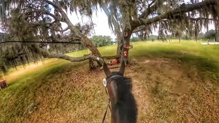 GoPro Renkum Corsair Open Intermediate  2023 Rocking Horse December Horse Trials [upl. by Ahsienat]