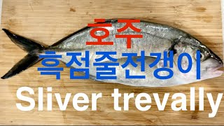 호주 흑점줄전갱이 회 Silver Trevally [upl. by Sokul]