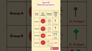 Types of Blood Groups Explained  A B AB O  Essential Medical Knowledge [upl. by Hailahk]