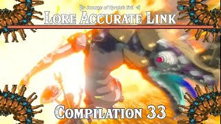 The Scourge of Hyrules Evil Lore Accurate Link Compilation 33 [upl. by Aneladdam]