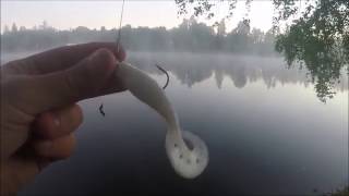 PECHE DE LA PERCHE DU BORD GOPRO [upl. by Dragon]