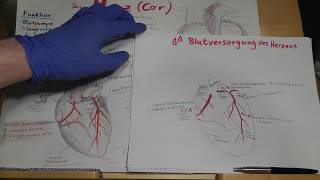 PRÜFUNGSWISSEN Blutversorgung des Herzens Herzkranzgefäße amp Herzinfarkt erklärt [upl. by Ard198]