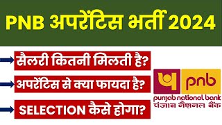 PNB apprentice 2024  PNB apprentice kya hota hai  PNB apprentice salary  PNB apprentice syllabus [upl. by Lehplar658]