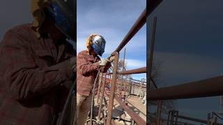 ￼ How to build a corral part 5 shortsvideo cow wyoming [upl. by Anihta19]