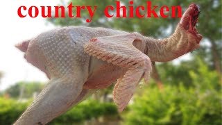 Grandmas Country Chicken Recipe in My Village  VILLAGE FOOD [upl. by Peace]