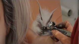 Ecureuil aérographie Squirrel airbrush painting peinture contemporaine [upl. by Monahon]